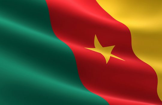 Drapeau 2 du Camaeroun